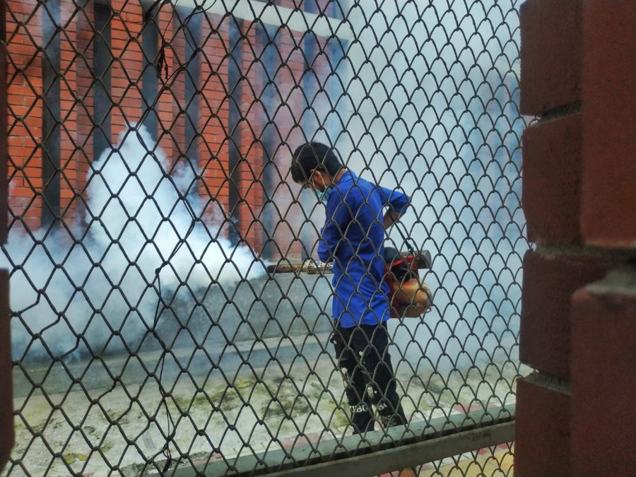 הדברת יונים